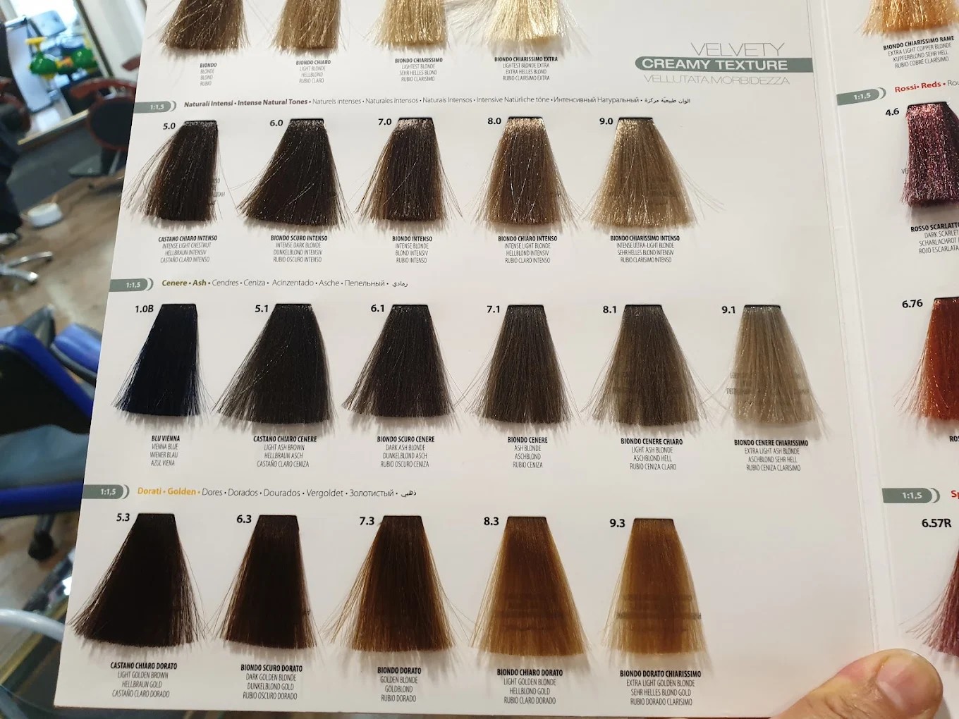 Kleurenkaart Kapsalon Palmera